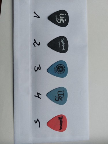 Whitesnake guitar pick - -,