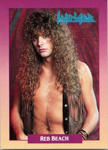 1991 brockum rock cards - brockum, reb