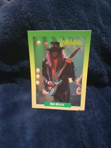 1991 brockum rockcards - ❄️1991,