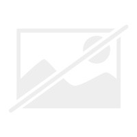 Guitars that rule the world - guitars,